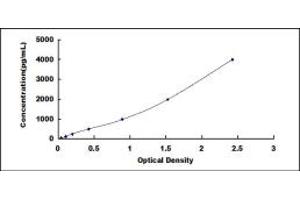 Typical standard curve (BAX ELISA 试剂盒)