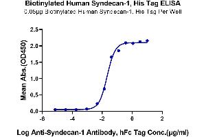 Immobilized Biotinylated Human Syndecan-1, His Tag at 0.