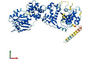 Protein Structure (PS) image for Ras Homolog Gene Family, Member T2 (RHOT2) (AA 1-620) protein (His tag) (ABIN7559398)