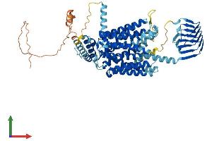 Protein Structure (PS) image for Synaptic Vesicle Glycoprotein 2B (SV2B) (AA 1-683) protein (His tag) (ABIN7558522)