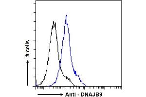 ABIN768557 Flow cytometric analysis of paraformaldehyde fixed A431 cells (blue line), permeabilized with 0. (DNAJB9 抗体  (AA 61-75))