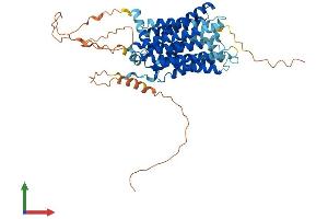 Protein Structure (PS) image for Solute Carrier Family 29 (Nucleoside Transporters), Member 4 (SLC29A4) (AA 1-530) protein (His tag) (ABIN7555330)