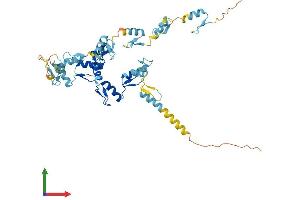 AlphaFold protein structure predicition of Human Recombinant ZNF672 Protein, UniprotID Q499Z4