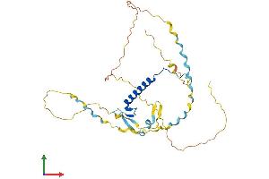 Protein Structure (PS) image for Cyclin-Dependent Kinase Inhibitor 1C (p57, Kip2) (CDKN1C) (AA 1-316) protein (His tag) (ABIN7553404)