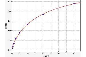 Typical standard curve (Muscarinic Acetylcholine Receptor ELISA 试剂盒)