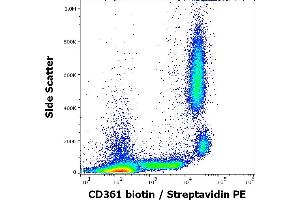 Flow cytometry surface staining pattern of human peripheral whole blood stained using anti-human CD361 (MEM-216) Biotin antibody (concentration in sample 6 μg/mL, Streptavidin PE). (EVI2B 抗体  (Biotin))