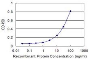 Detection limit for recombinant GST tagged ADPGK is 0.