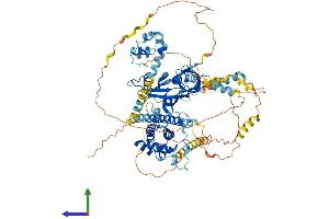Protein Structure (PS) image for Epidermal Growth Factor Receptor Pathway Substrate 8 (EPS8) (AA 1-822) protein (His tag) (ABIN7553805)