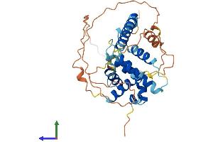 Protein Structure (PS) image for BCL2-Like 14 (Apoptosis Facilitator) (BCL2L14) (AA 1-328) protein (His tag) (ABIN7560477)