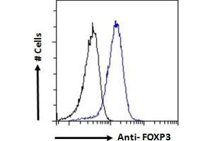 Flow Cytometry (FACS) image for anti-Forkhead Box P3 (FOXP3) (C-Term) antibody (ABIN185239)