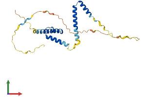 Protein Structure (PS) image for Hairy and Enhancer of Split 7 (HES7) (AA 1-225) protein (His tag) (ABIN7558727)
