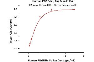 Immobilized Human PDGF-BB, Tag Free (ABIN6731333,ABIN6809924) at 5 μg/mL (100 μL/well) can bind Human PDGFRB, Fc Tag (ABIN2181628,ABIN2181627) with a linear range of 0. (PDGF-BB Homodimer (AA 82-190) (Active) 蛋白)