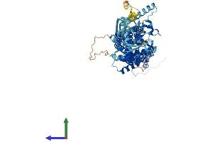 Protein Structure (PS) image for ATP-Binding Cassette, Sub-Family G (WHITE), Member 8 (ABCG8) (AA 1-673) protein (His tag) (ABIN7561288)