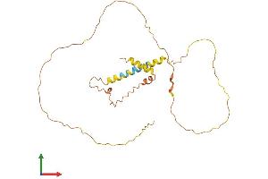 Protein Structure (PS) image for MyoD Family Inhibitor (MDFI) (AA 1-246) protein (His tag) (ABIN7549237)