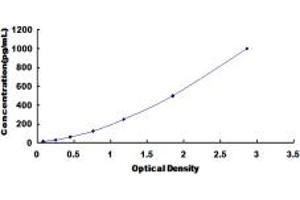 Typical standard curve (Netrin 1 ELISA 试剂盒)