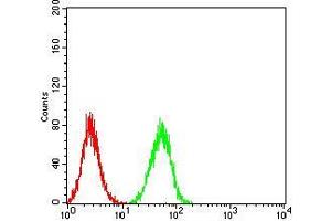 Flow Cytometry (FACS) image for anti-Estrogen-Related Receptor alpha (ESRRA) (AA 198-376) antibody (ABIN5542453)