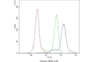 Flow cytometry testing of human HL60 cells with AGO1 antibody at 1ug/10^6 cells (blocked with goat sera) (AGO1 抗体  (AA 376-409))
