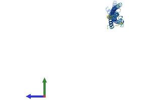 Protein Structure (PS) image for MIS12, MIND Kinetochore Complex Component, Homolog (MIS12) (AA 1-206) protein (His tag) (ABIN7560740)