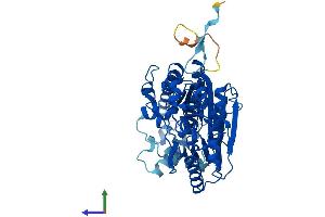 Protein Structure (PS) image for 6-phosphofructo-2-Kinase/fructose-2,6-Biphosphatase 4 (PFKFB4) (AA 1-469) protein (His tag) (ABIN7557911)