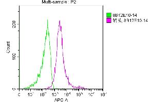 Overlay Peak curve showing A549 cells stained with ABIN7158617 (red line) at 1:100. (LAG3 抗体  (AA 29-450))