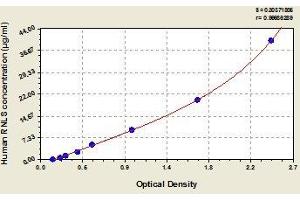 Typical standard curve (RNLS ELISA 试剂盒)