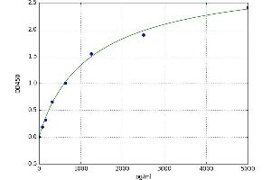 AE Binding Protein 1 (AEBP1) ELISA Kit