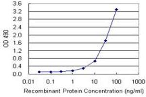 Sandwich ELISA detection sensitivity ranging from 1 ng/mL to 100 ng/mL. (TNFRSF6B (人) Matched Antibody Pair)