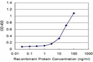 Detection limit for recombinant GST tagged MARK3 is approximately 3ng/ml as a capture antibody. (MARK3 抗体  (AA 402-500))