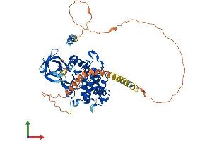 Protein Structure (PS) image for Vaccinia Related Kinase 2 (VRK2) (AA 1-508) protein (His tag) (ABIN7556009)