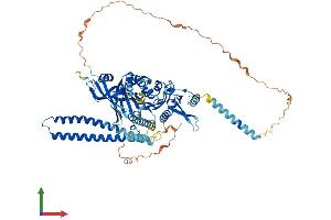 Protein Structure (PS) image for Kinesin Heavy Chain Member 2A (KIF2A) (AA 1-706) protein (His tag) (ABIN7554332)