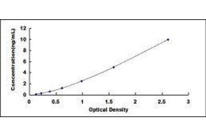 ELISA image for NADPH Oxidase 4 (NOX4) ELISA Kit (ABIN417447) (NADPH Oxidase 4 ELISA 试剂盒)