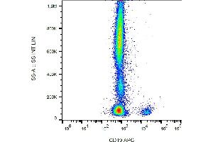 Flow cytometry analysis (surface staining) of human peripheral blood leukocytes with anti-human CD19 (4G7) APC. (CD19 抗体  (APC))