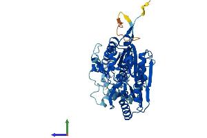Protein Structure (PS) image for 6-phosphofructo-2-Kinase/fructose-2,6-Biphosphatase 4 (PFKFB4) (AA 1-469) protein (His tag) (ABIN7547585)