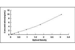 Typical standard curve (CD40 Ligand ELISA 试剂盒)