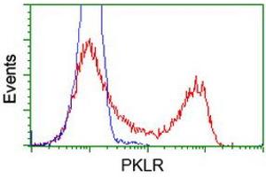 Flow Cytometry (FACS) image for anti-Pyruvate Kinase, Liver and RBC (PKLR) antibody (ABIN1500244) (PKLR 抗体)
