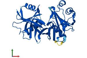 Protein Structure (PS) image for Phenazine Biosynthesis-Like Protein Domain Containing 1 (PBLD1) (AA 1-288) protein (His tag) (ABIN7550555)