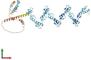 AlphaFold protein structure predicition of Human Recombinant ZNF737 Protein, UniprotID O75373