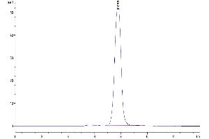 Size-exclusion chromatography-High Pressure Liquid Chromatography (SEC-HPLC) image for Angiopoietin-Like 2 (ANGPTL2) (AA 260-493) protein (His-Avi Tag) (ABIN7273836)