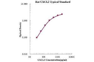 ELISA image for Chemokine (C-X-C Motif) Ligand 2 (CXCL2) ELISA Kit (ABIN3198521)