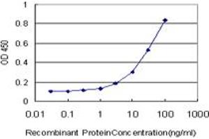 Detection limit for recombinant GST tagged PHOSPHO1 is approximately 1ng/ml as a capture antibody. (PHOSPHO1 抗体  (AA 168-266))