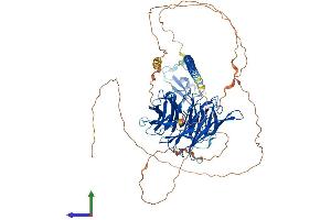 Protein Structure (PS) image for Ring Finger and WD Repeat Domain 3 (RFWD3) (AA 1-774) protein (His tag) (ABIN7564595)
