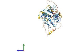 Protein Structure (PS) image for Zinc Finger Protein 610 (ZNF610) (AA 1-462) protein (His tag) (ABIN7545756)