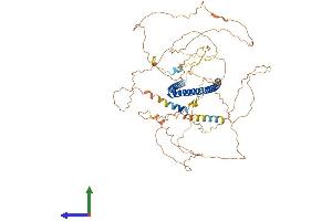 AlphaFold protein structure predicition of Human Recombinant KIZ Protein, UniprotID Q2M2Z5