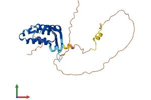 AlphaFold protein structure predicition of Human Recombinant PXDC1 Protein, UniprotID Q5TGL8