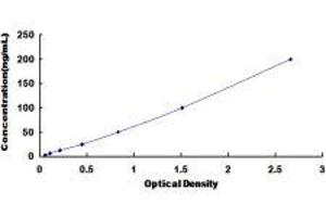 Lysophosphatidylcholine Acyltransferase 3 (LPCAT3) ELISA Kit