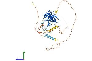 Protein Structure (PS) image for SH3 and Cysteine Rich Domain (STAC) (AA 1-403) protein (His tag) (ABIN7556778)