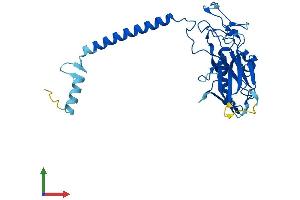 Protein Structure (PS) image for ATPase, H+/K+ Exchanging, beta Polypeptide (ATP4b) (AA 1-294) protein (His tag) (ABIN7563372)