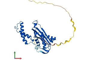 Protein Structure (PS) image for GTP Cyclohydrolase 1 (GCH1) (AA 1-250) protein (His tag) (ABIN7547848)