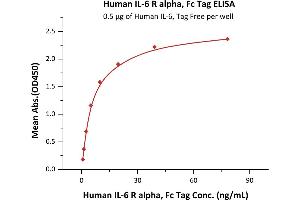 Immobilized Human IL-6, Tag Free (ABIN2181322,ABIN3071739) at 5 μg/mL (100 μL/well) can bind Human IL-6 R alpha, Fc Tag (ABIN6386441,ABIN6388246) with a linear range of 1-20 ng/mL (QC tested). (IL6RA Protein (AA 20-365) (Fc Tag))