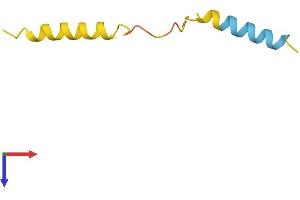 Protein Structure (PS) image for ARHGAP5 Antisense RNA 1 (Head To Head) (ARHGAP5-AS1) (AA 1-56) protein (Fc Tag) (ABIN7552200)